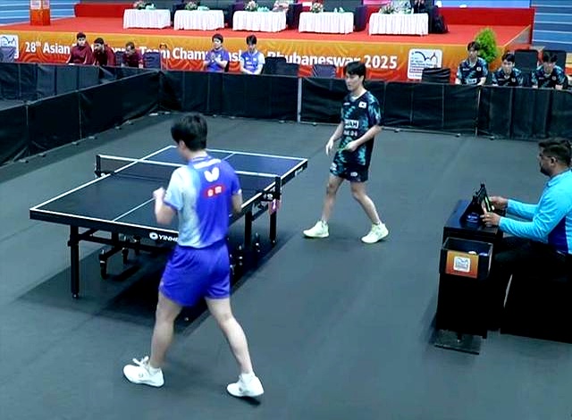 法国队完胜德国队,张本智和状态火热 法国队完胜德国队,张本智和状态火热