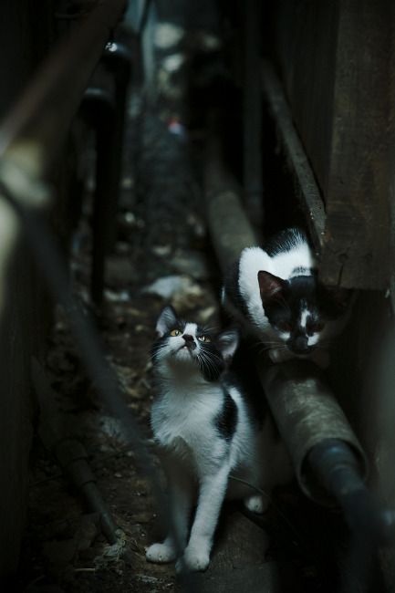 绝境锋芒,克莱关键战不手软,76人最后时刻险胜奇才