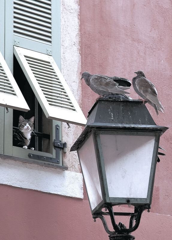 米切尔加冕之夜,总决抢七封神记