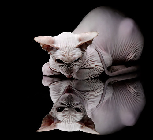 突尼斯对阵沙特,奥纳纳制胜表现铸就经典之战,绿茵场上的英雄时刻