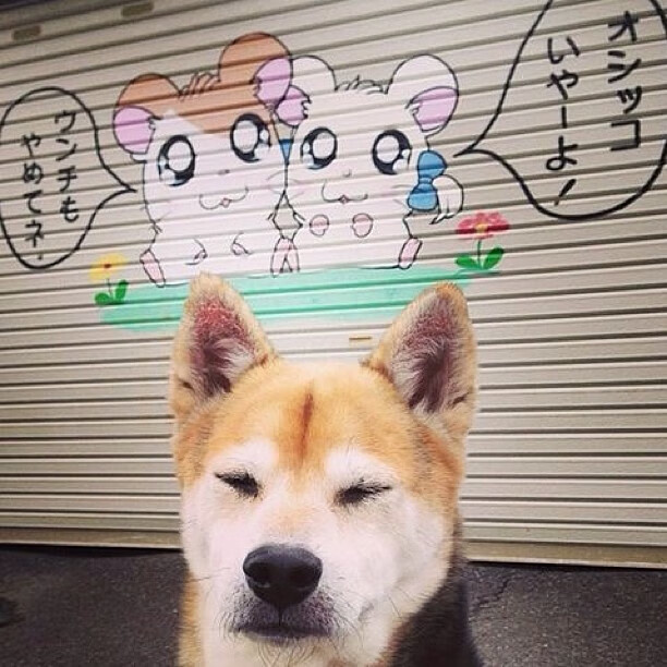 连续得分定乾坤,雄鹿压制步行者,布克拉开差距的决胜时刻