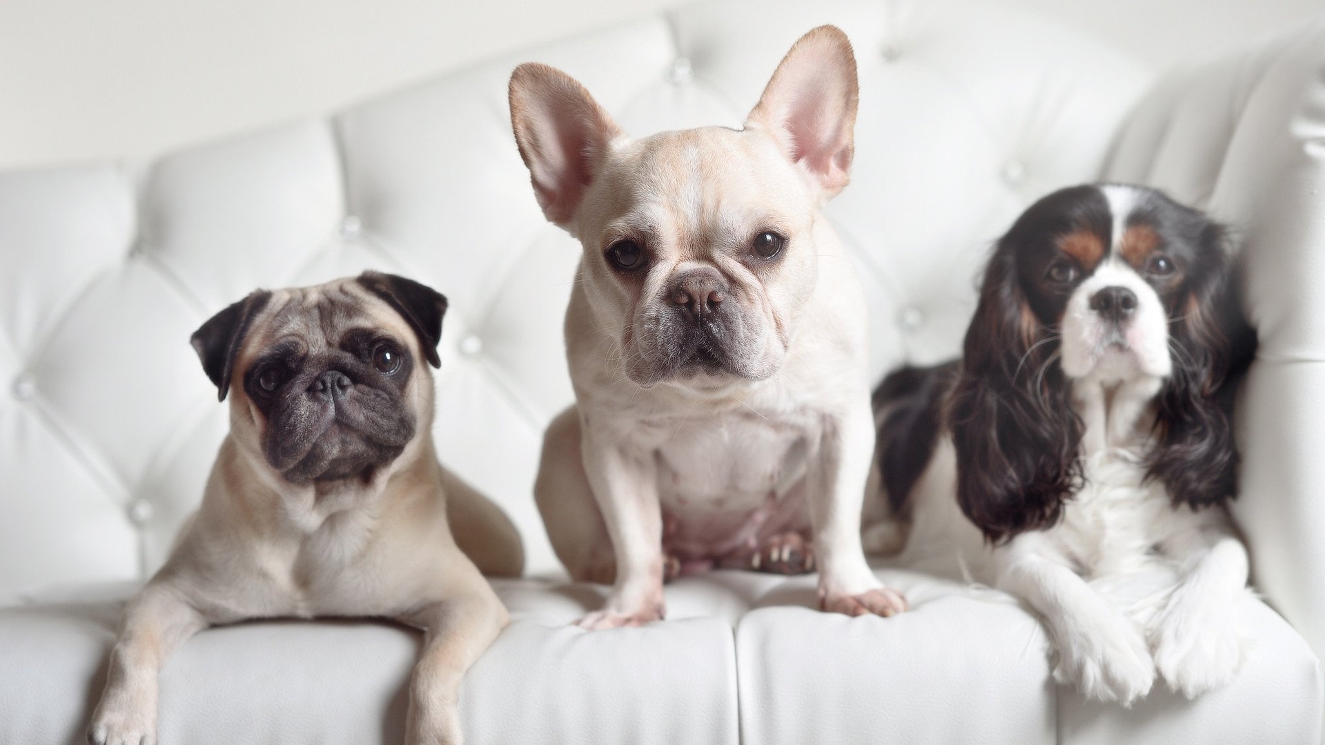 绝杀时刻,德国战车的钢铁意志