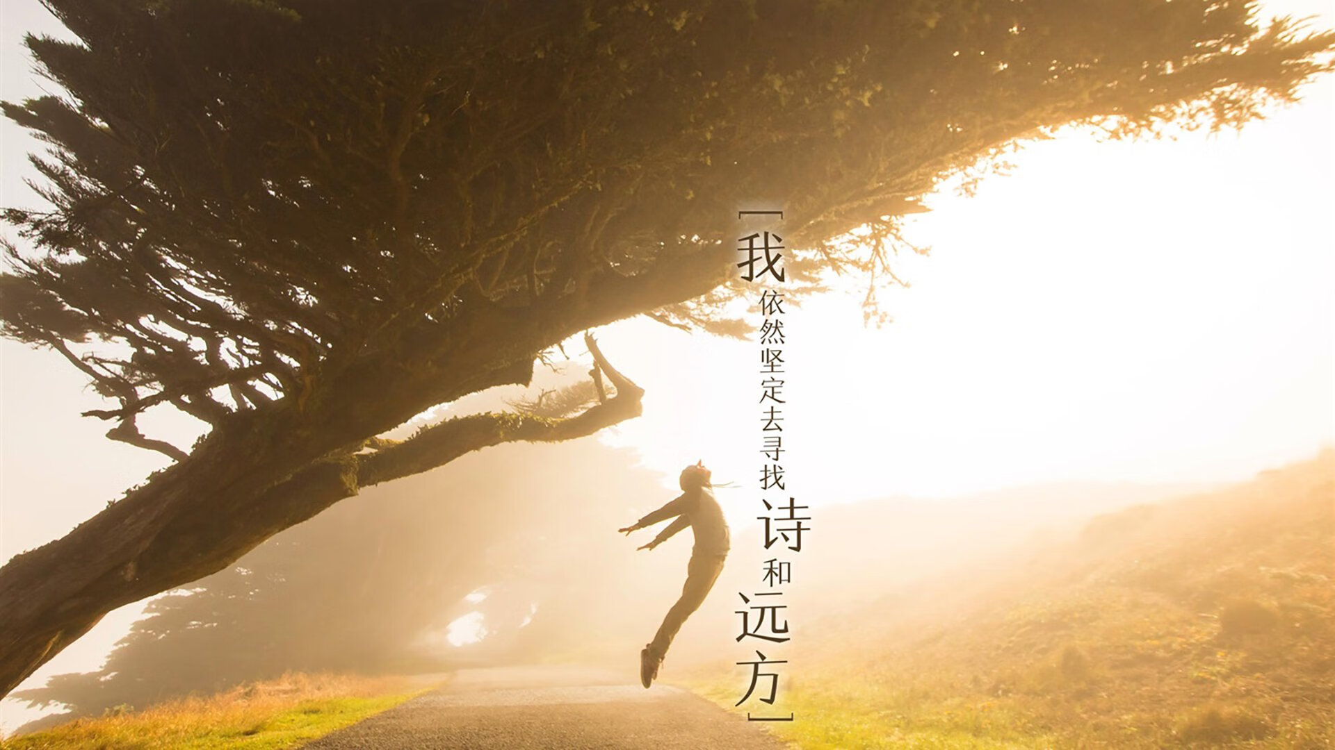 当东决哨声遇见沙漠绿鹰,一场跨越维度的绿茵焦点战