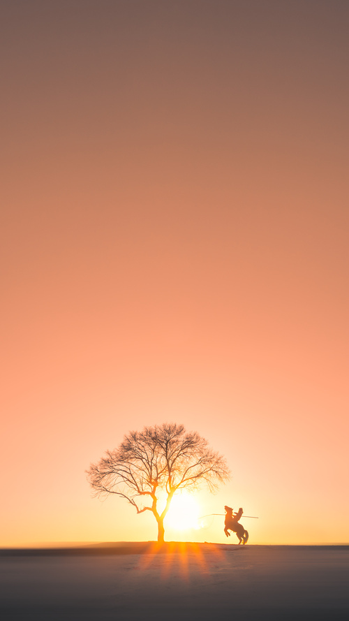 血脉基因与技术神经,当曼城的埃及呐喊遇上富安健洋的东瀛兵法