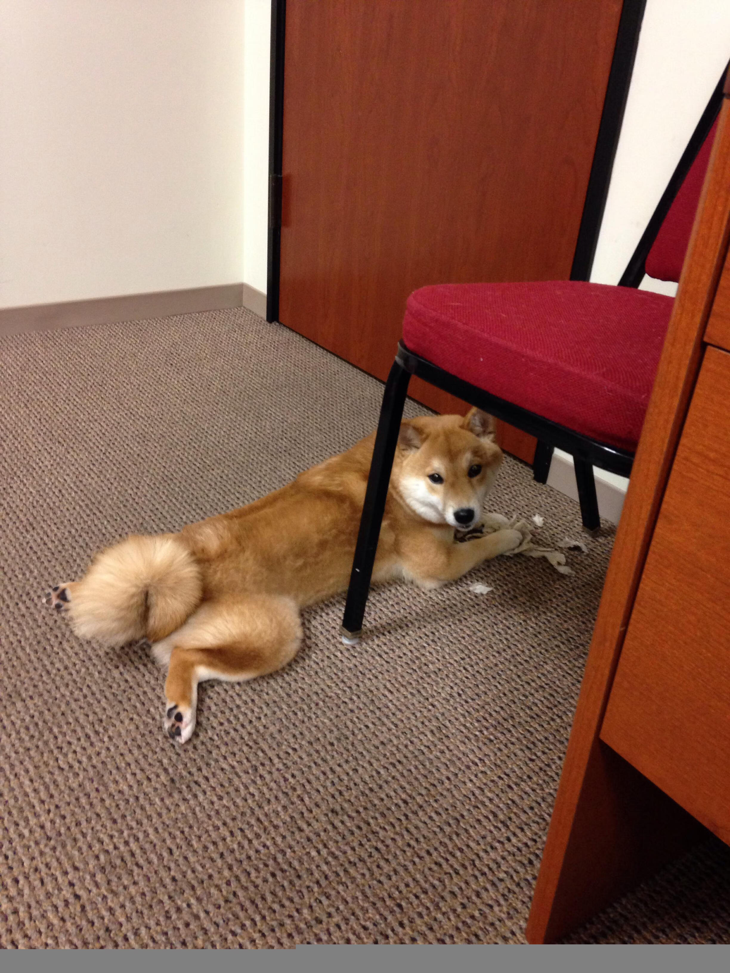 东决关键战!火箭读秒绝杀山西,悬崖边的英雄诞生